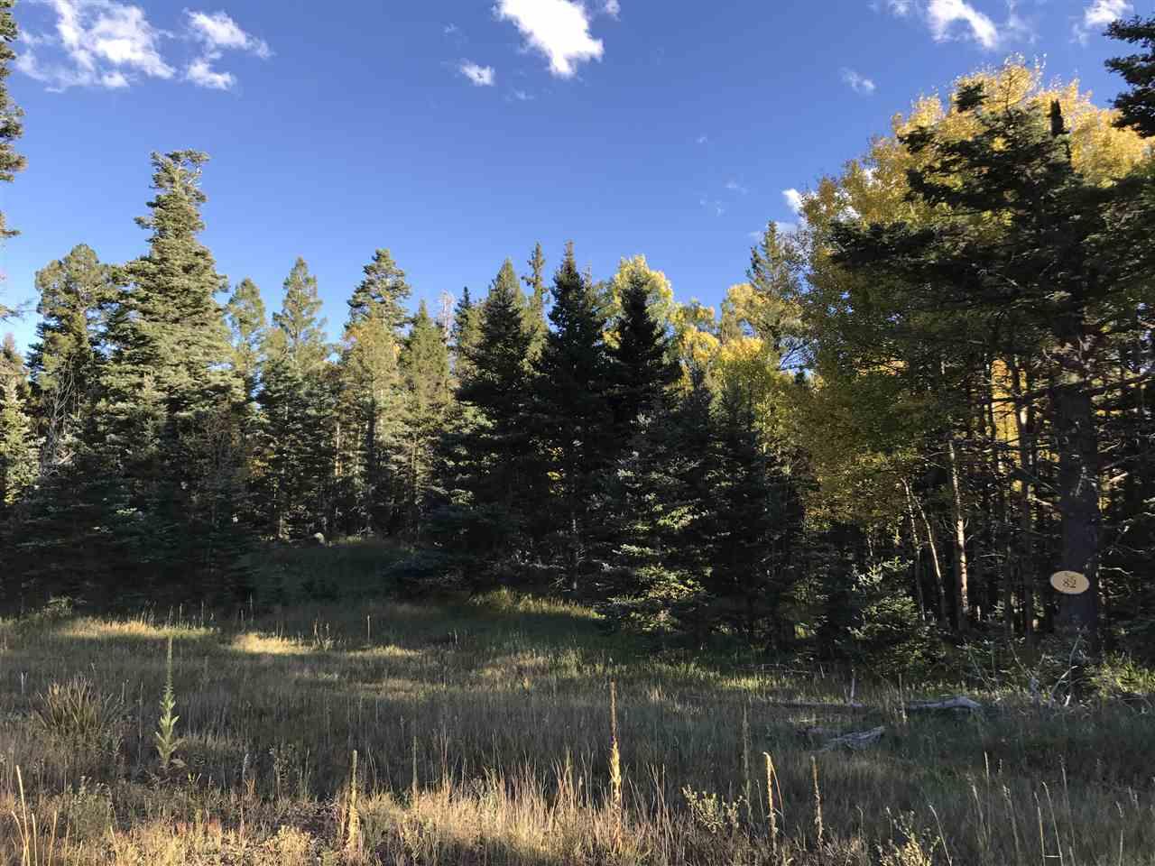 Lot 82 Elk Meadow - Photo 1