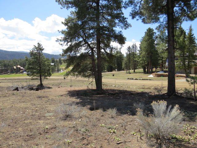 Lot 1253 Colonial Trail - Photo 1