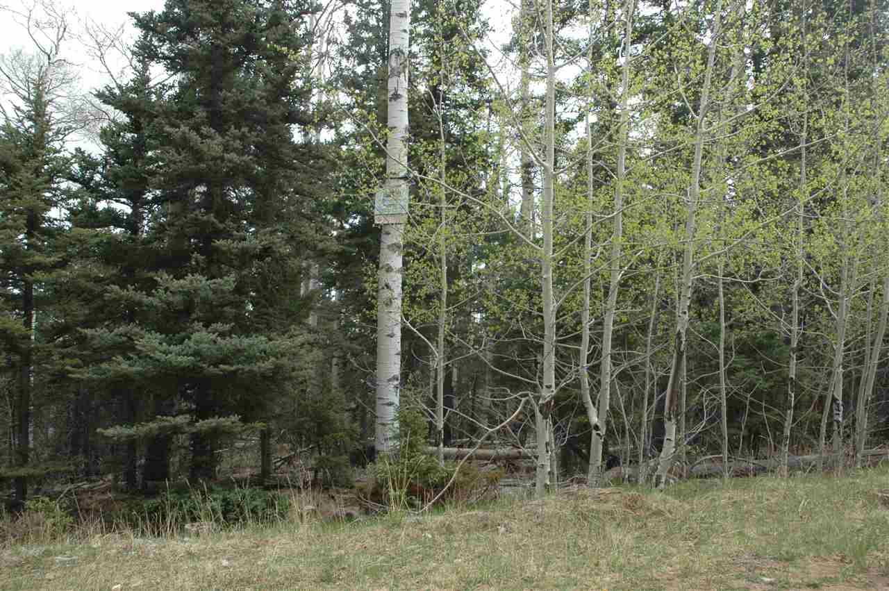 Lot 2 Sr 120 - Photo 1
