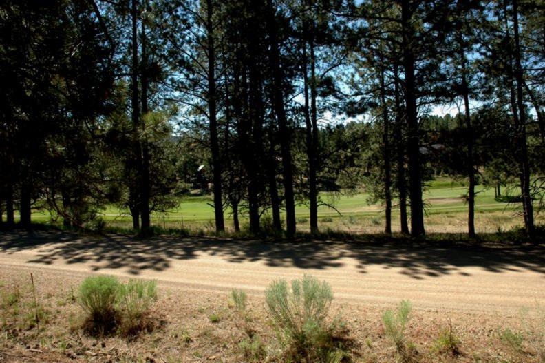 Lot 1242 Colonial Trail - Photo 1