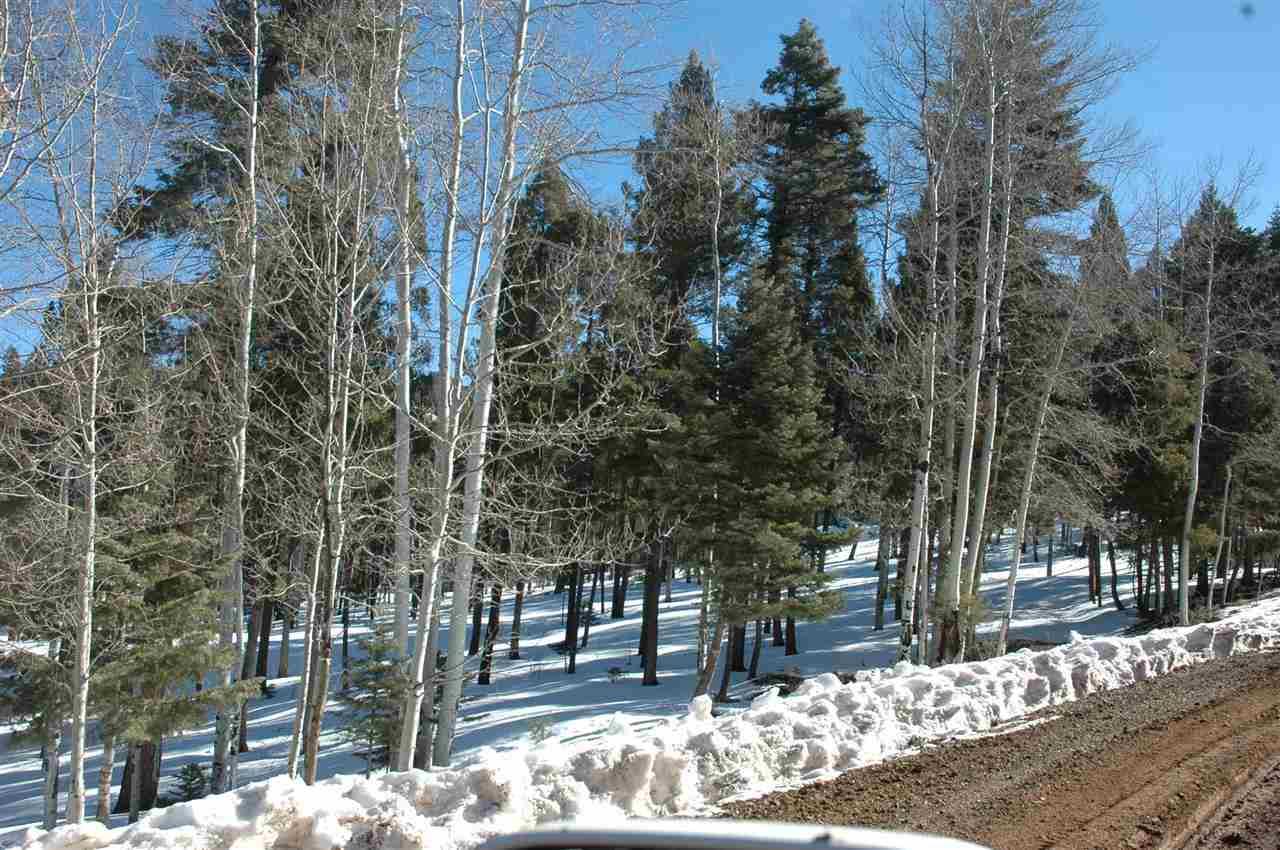 Lot 236 Vista Del Valle - Photo 1