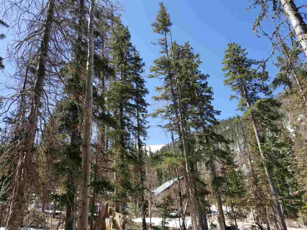28 Zaps Road - Photo 1