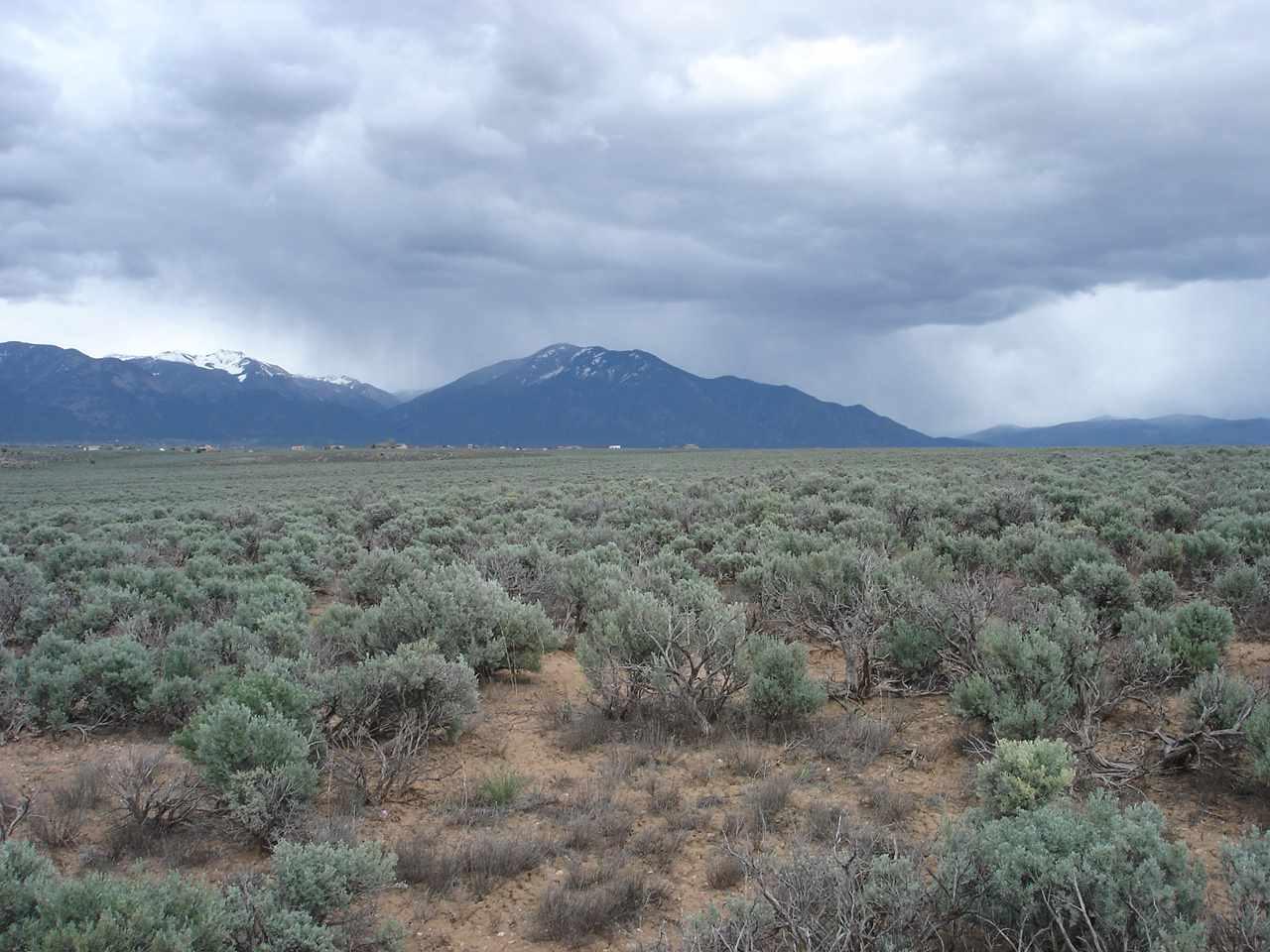 Off Gravel Pit Rd - Photo 1