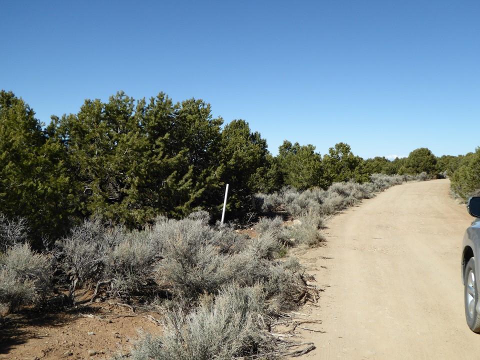 Tract A2 A3 No Name Street - Photo 1