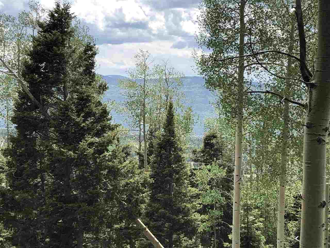 Lot 1639A Skyview Way - Photo 1