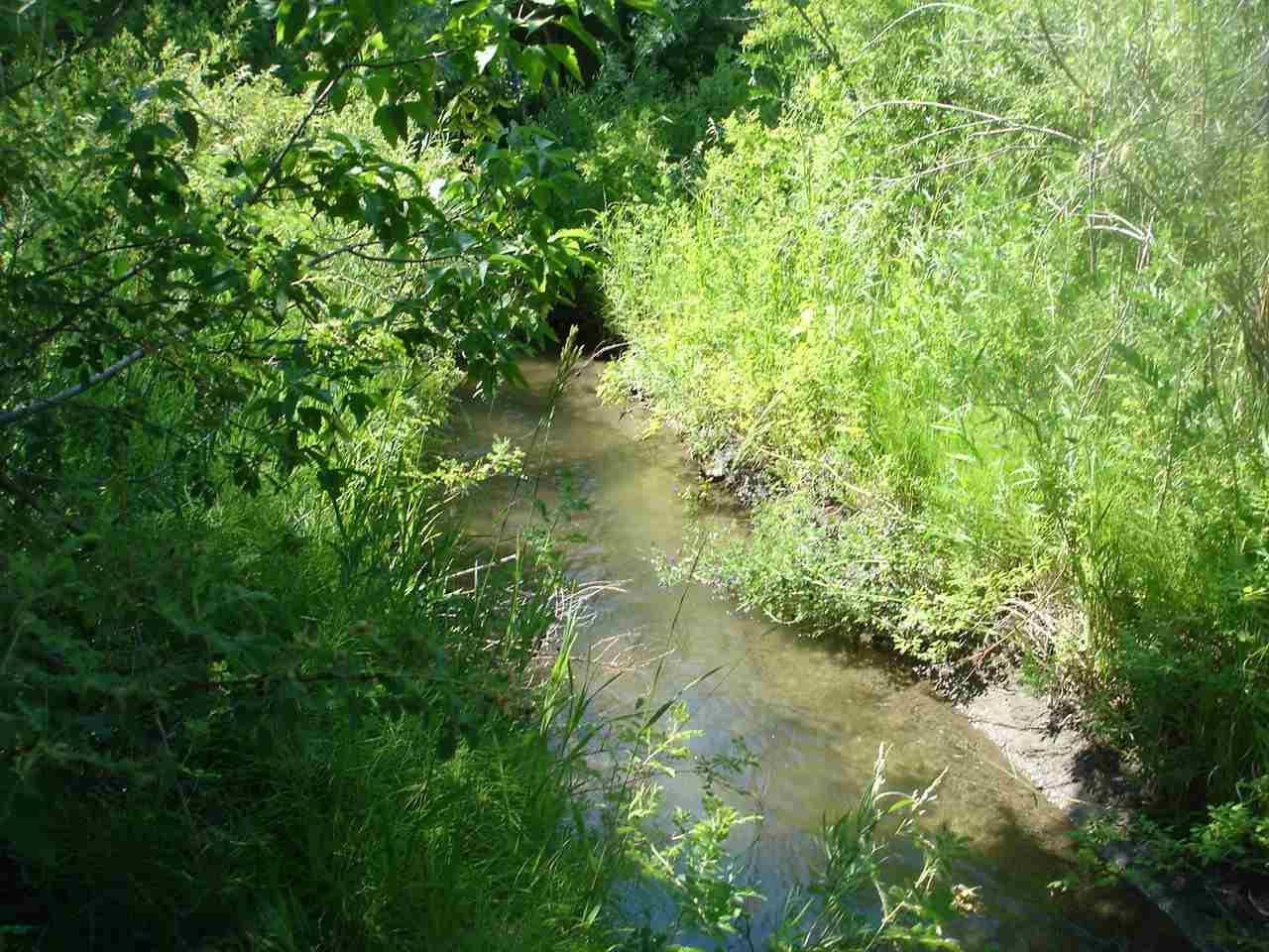 Adj Torrez Rd - Photo 1