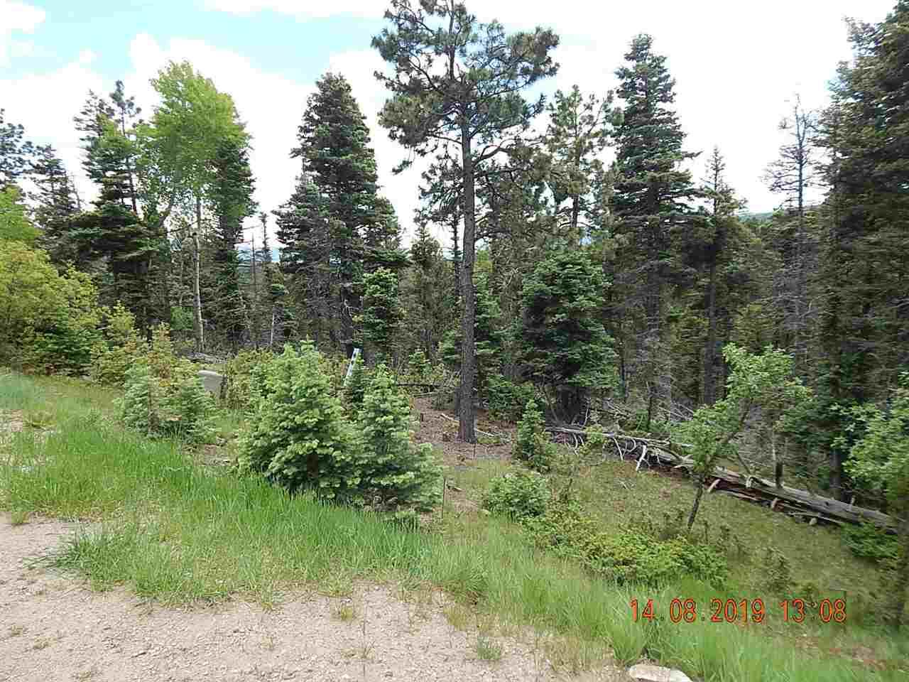 188 Taos Drive - Photo 1
