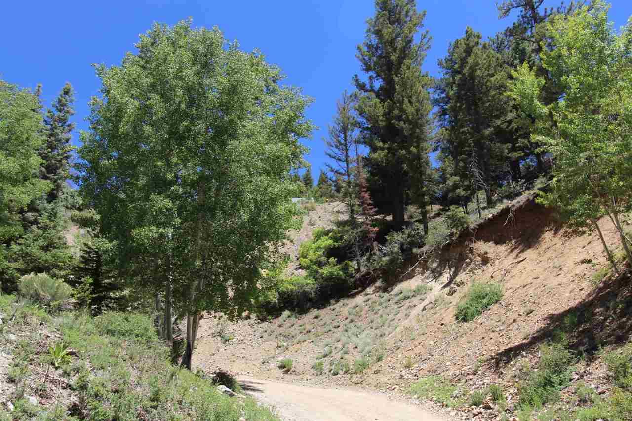 Lot 7 Wild Oak - Photo 1
