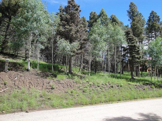 Lot 1379 Santo Domingo Trail - Photo 1