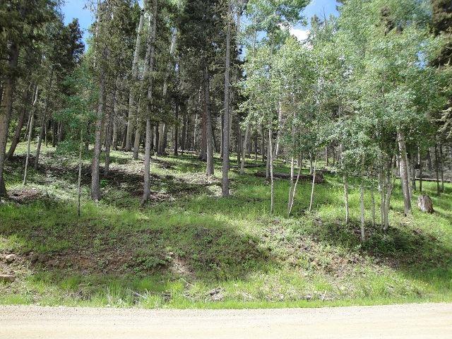 Lot 1283 Via Del Rey - Photo 1