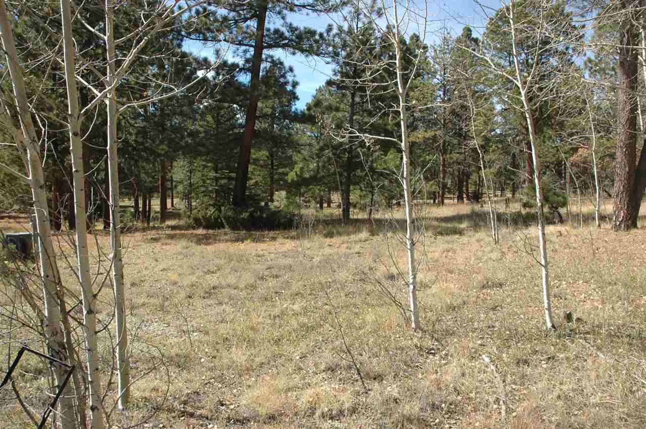 lot 15 Winter Wood Ct - Photo 1