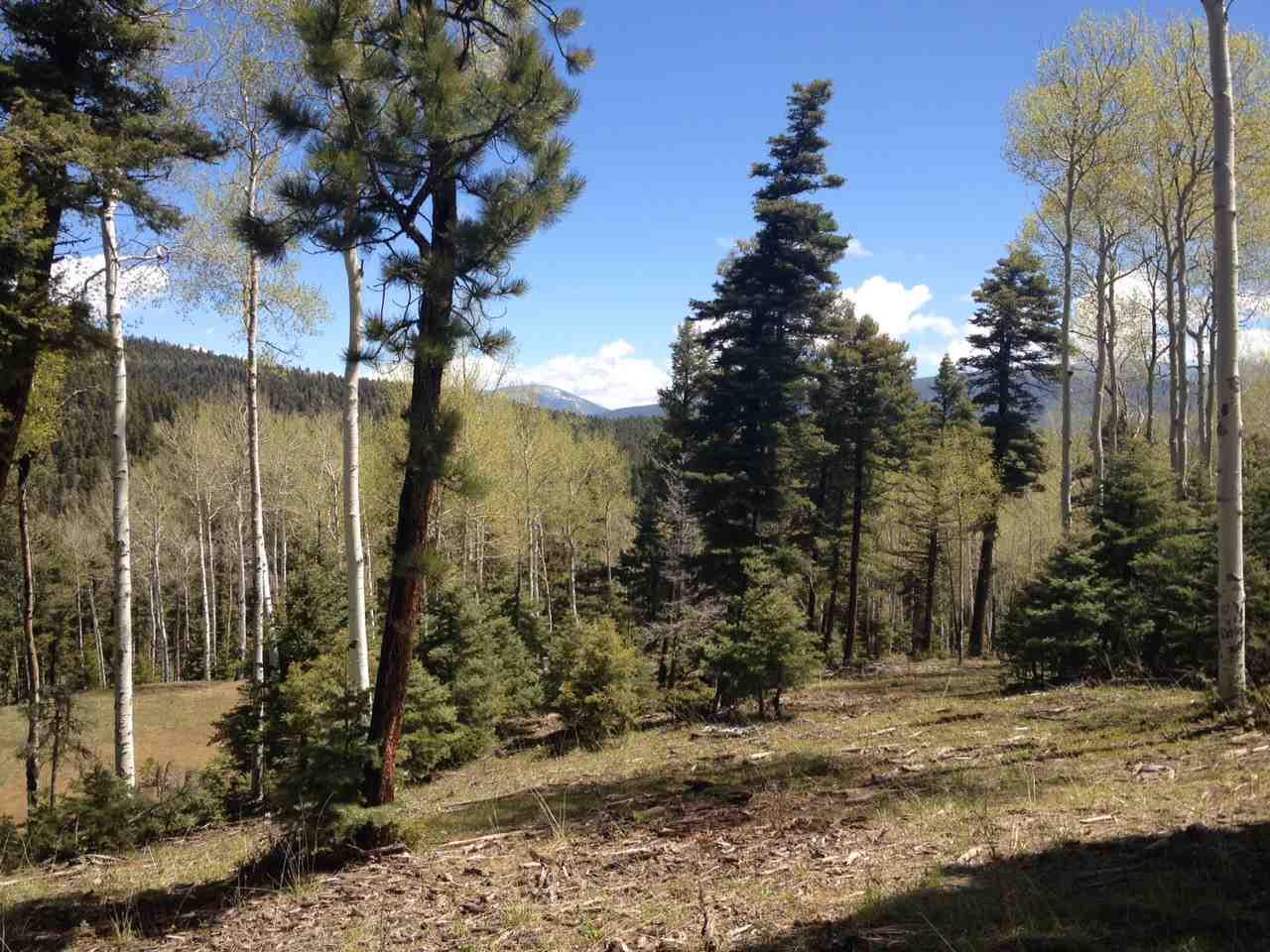 Lot 84 Taos Pines Ranch Road - Photo 1