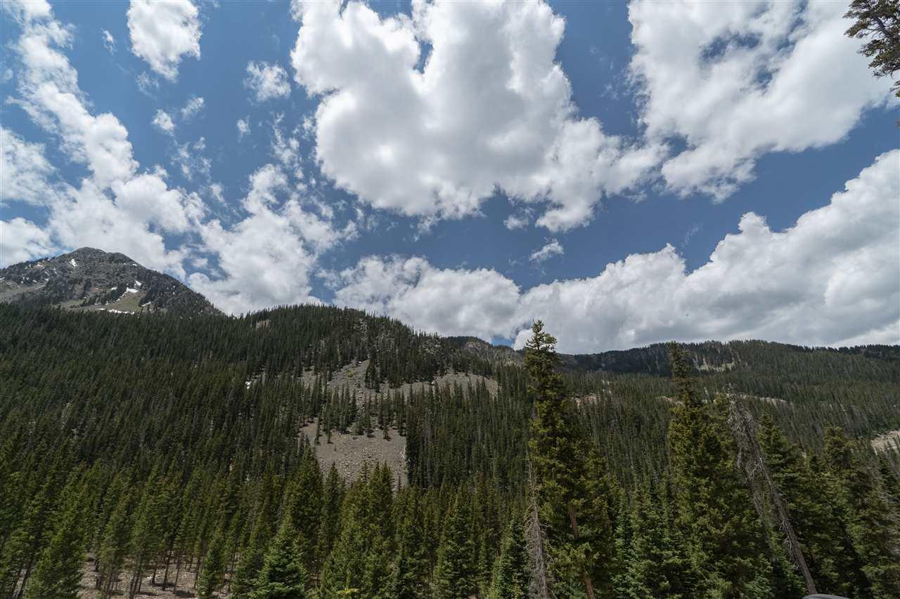 10 Blue Jay Ridge - Photo 1