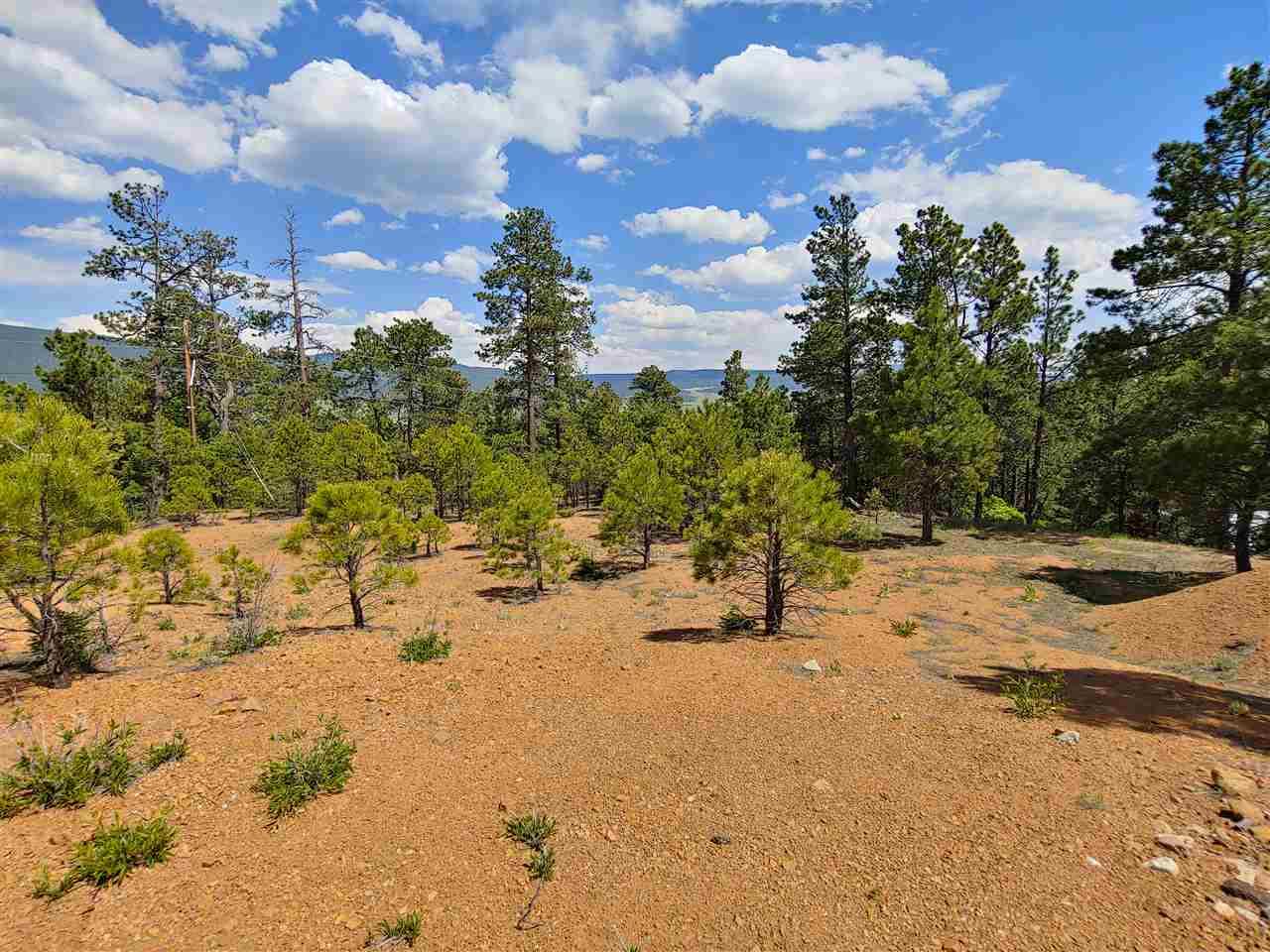 Lot 7 West Slope Acres - Photo 1