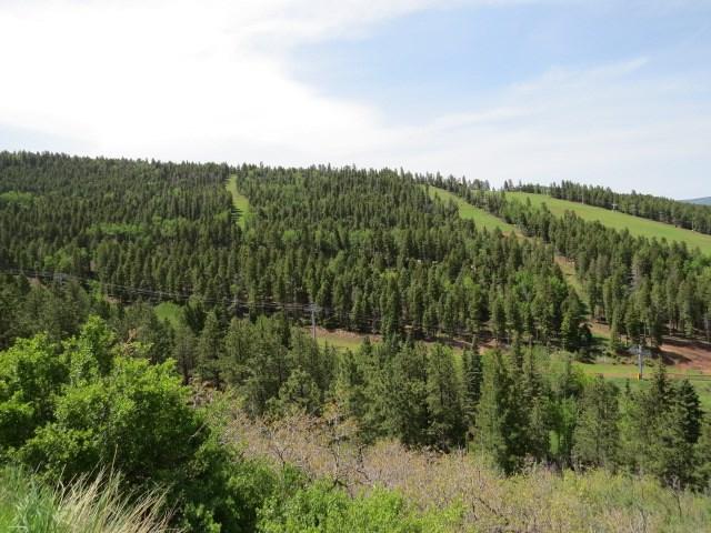 Lot 128a Valley Road - Photo 1