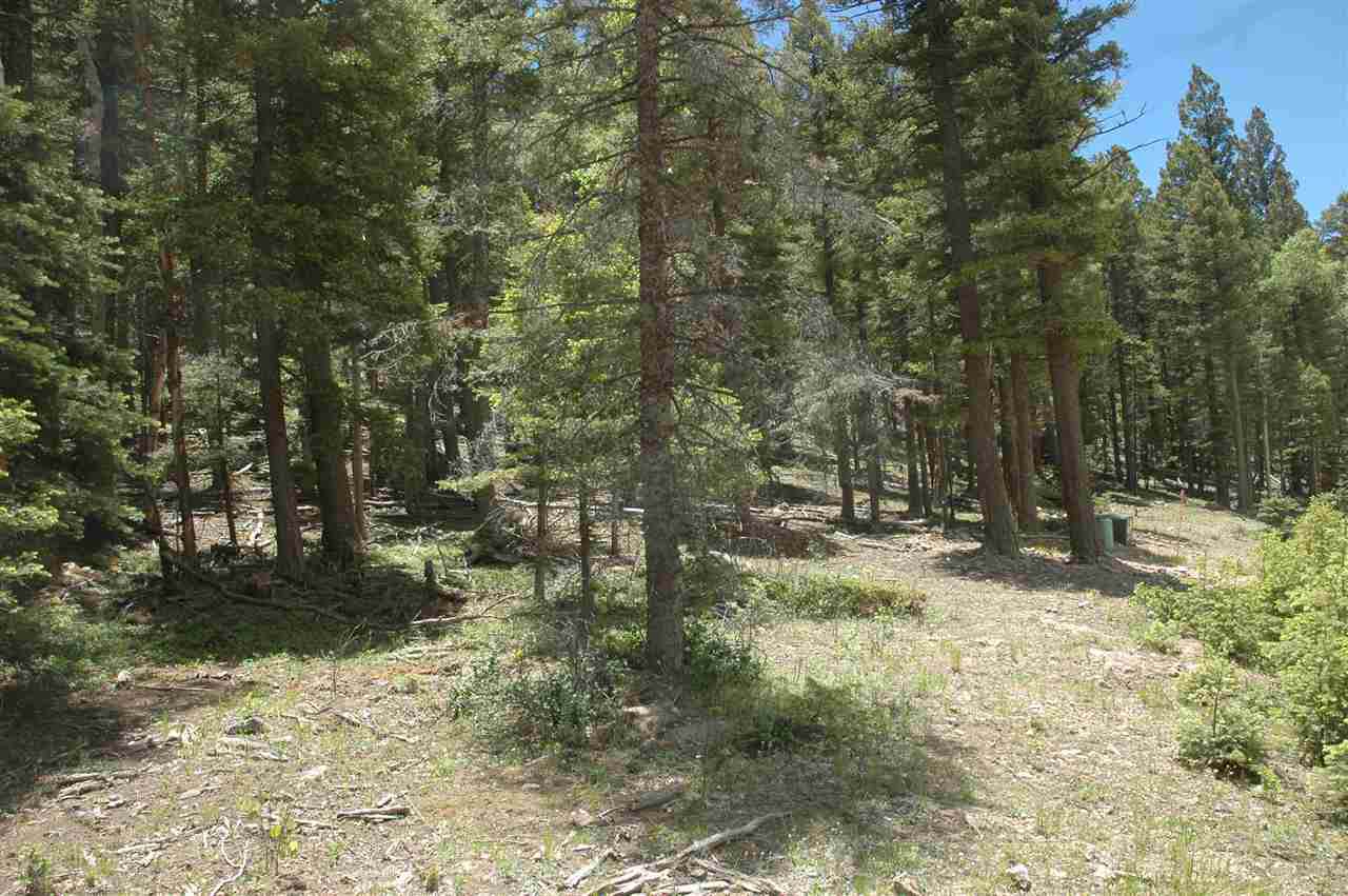 lot 153 Back Basin Rd - Photo 1