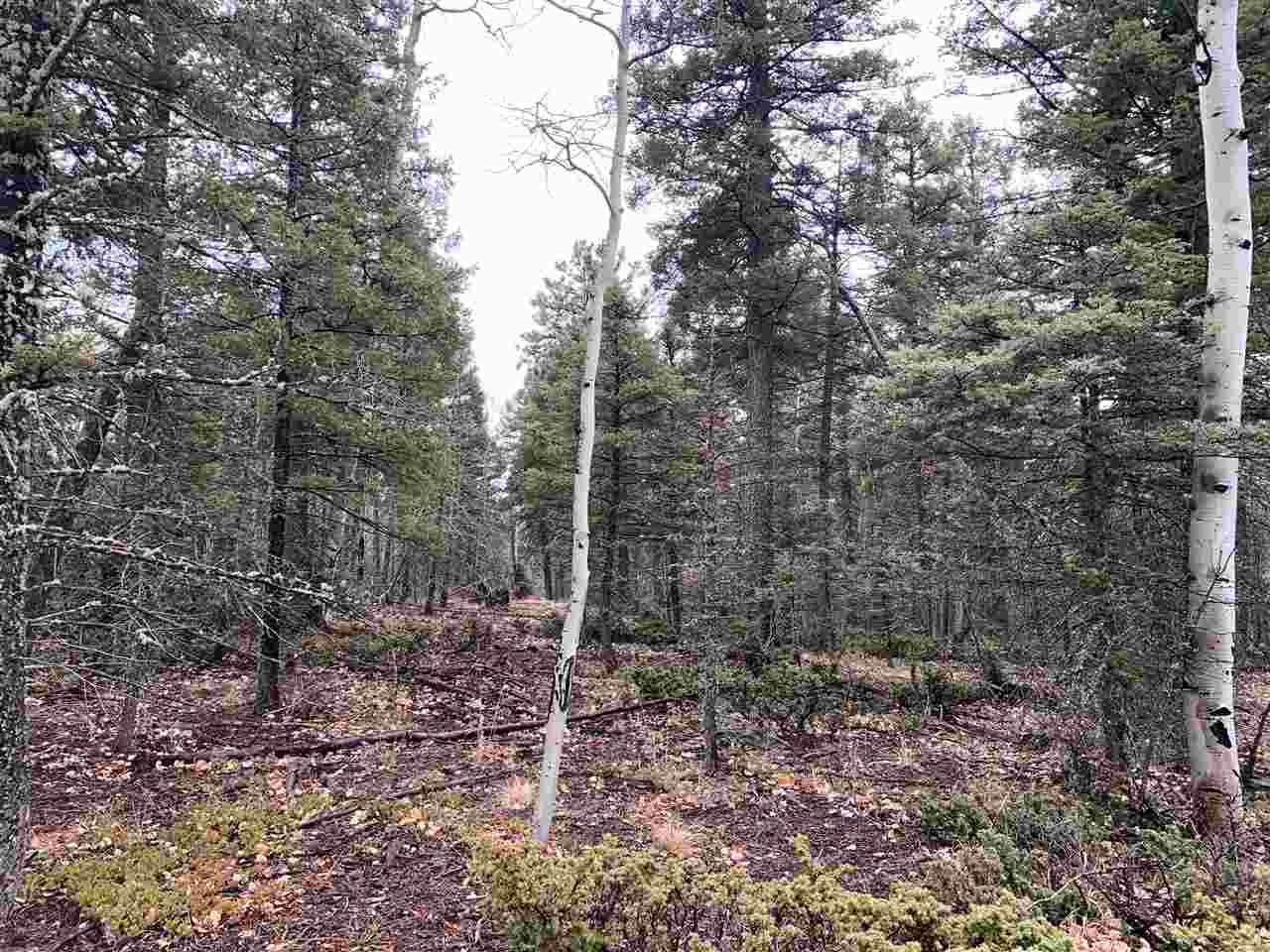 Vermejo Cir - Photo 1
