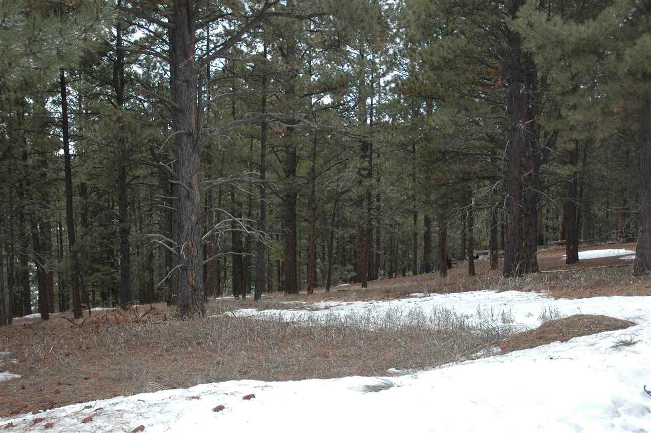 5 Pino Street - Photo 1
