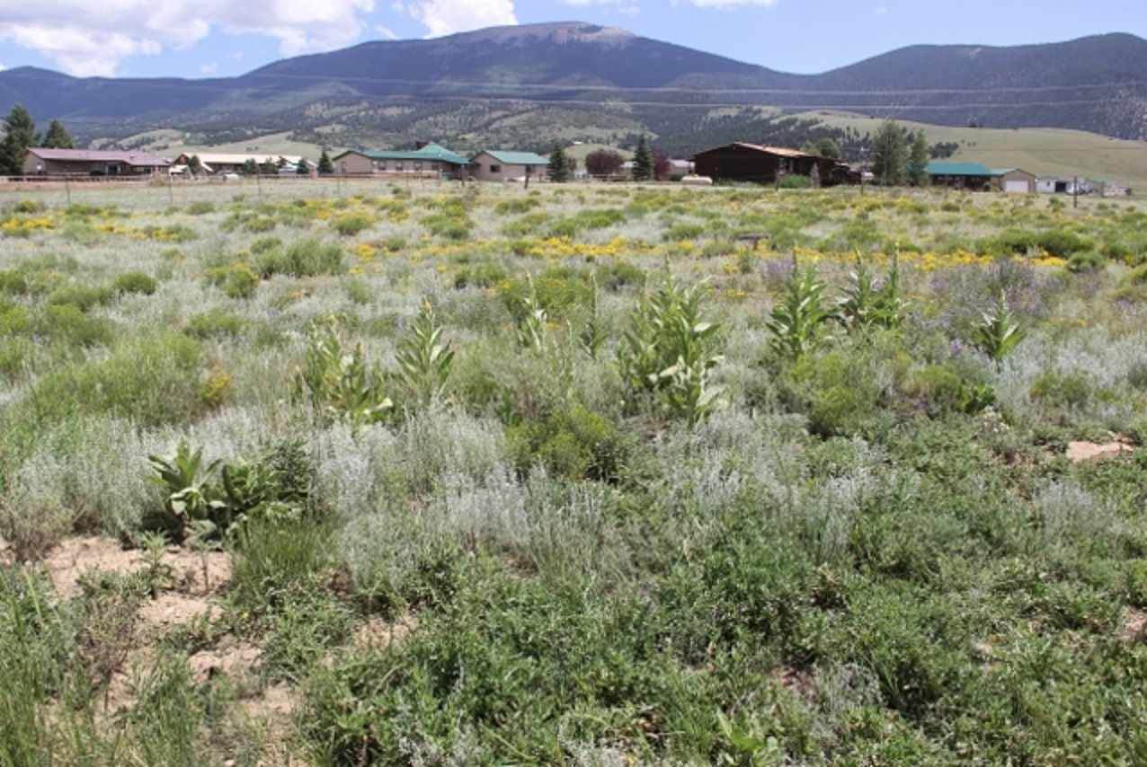 Lot 16 Holiday Hills 1 - Photo 1