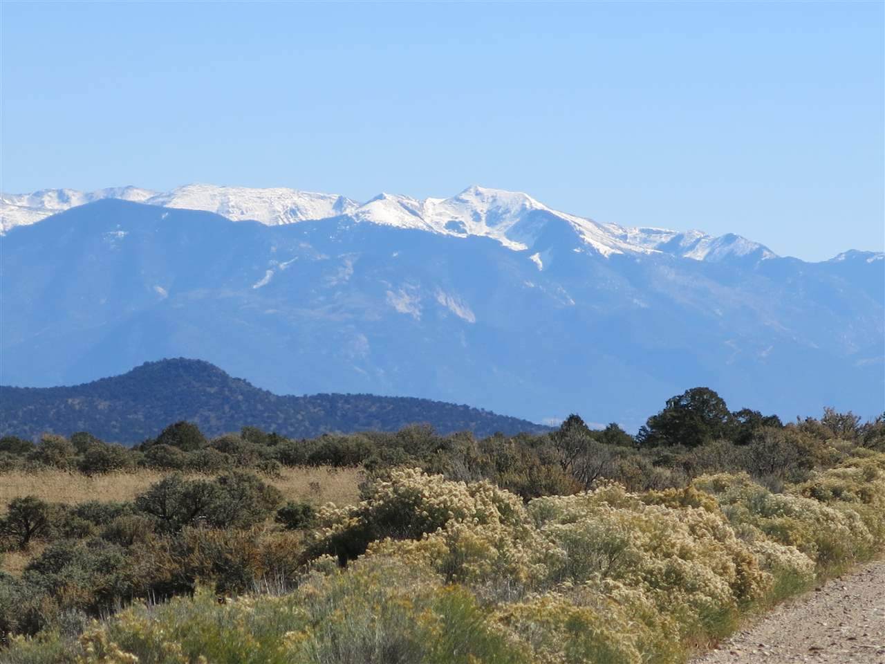 Lot 15 Off Chile Line Rd - Photo 1