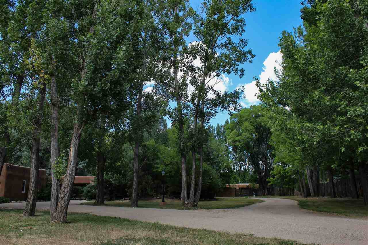 410 Cordoba Lane - Photo 1