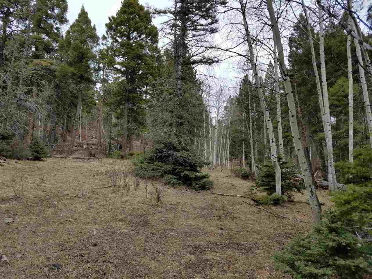 Lot 5 Apache Canyon - Photo 1
