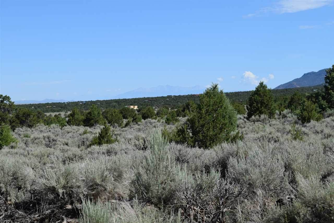 Jedediah Road - Photo 1