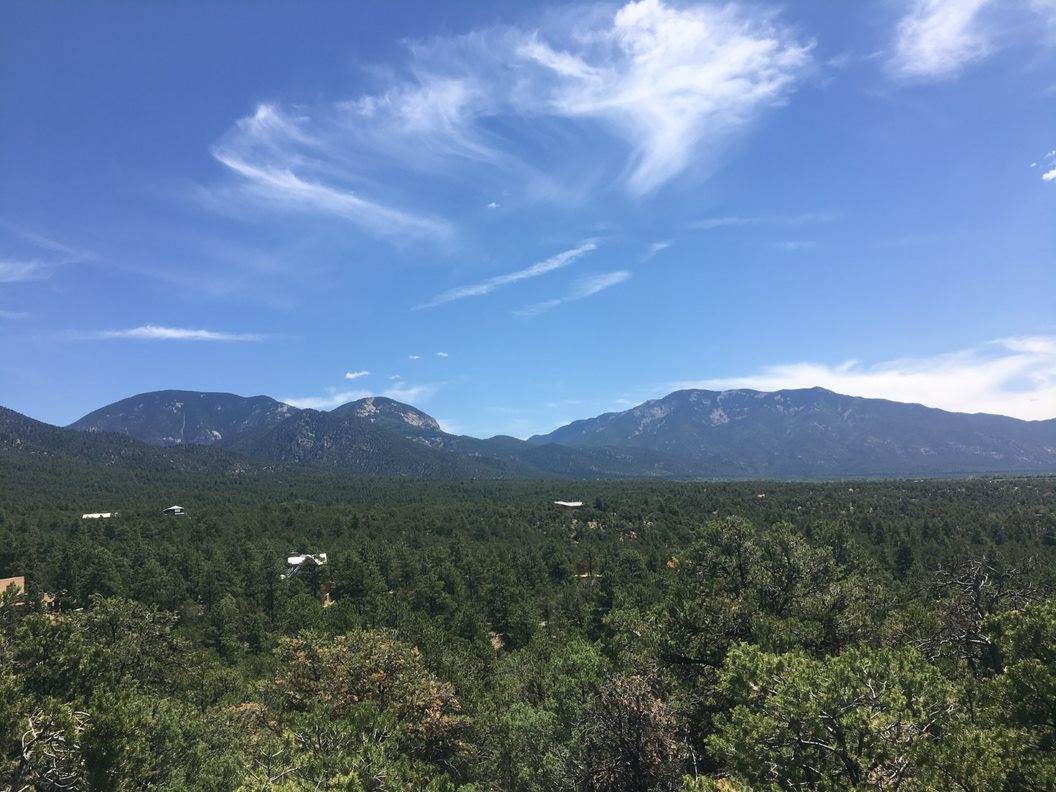 Deer Mesa Rd - Photo 1
