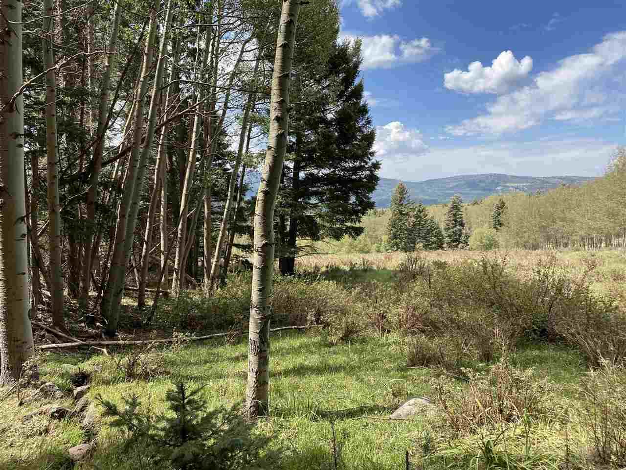 Lot 1564A Cascade Overlook - Photo 1