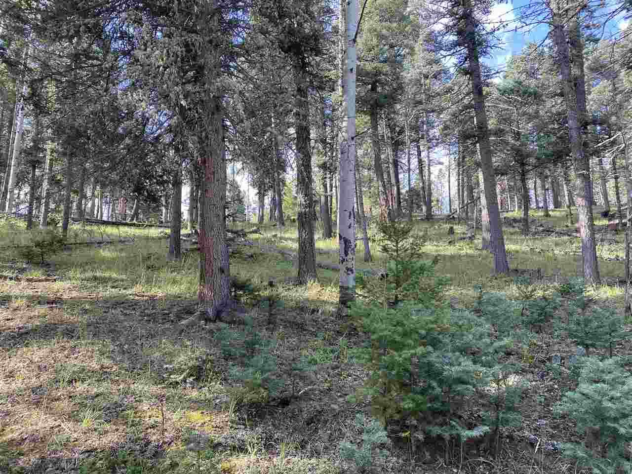 San Andres Cir - Photo 1