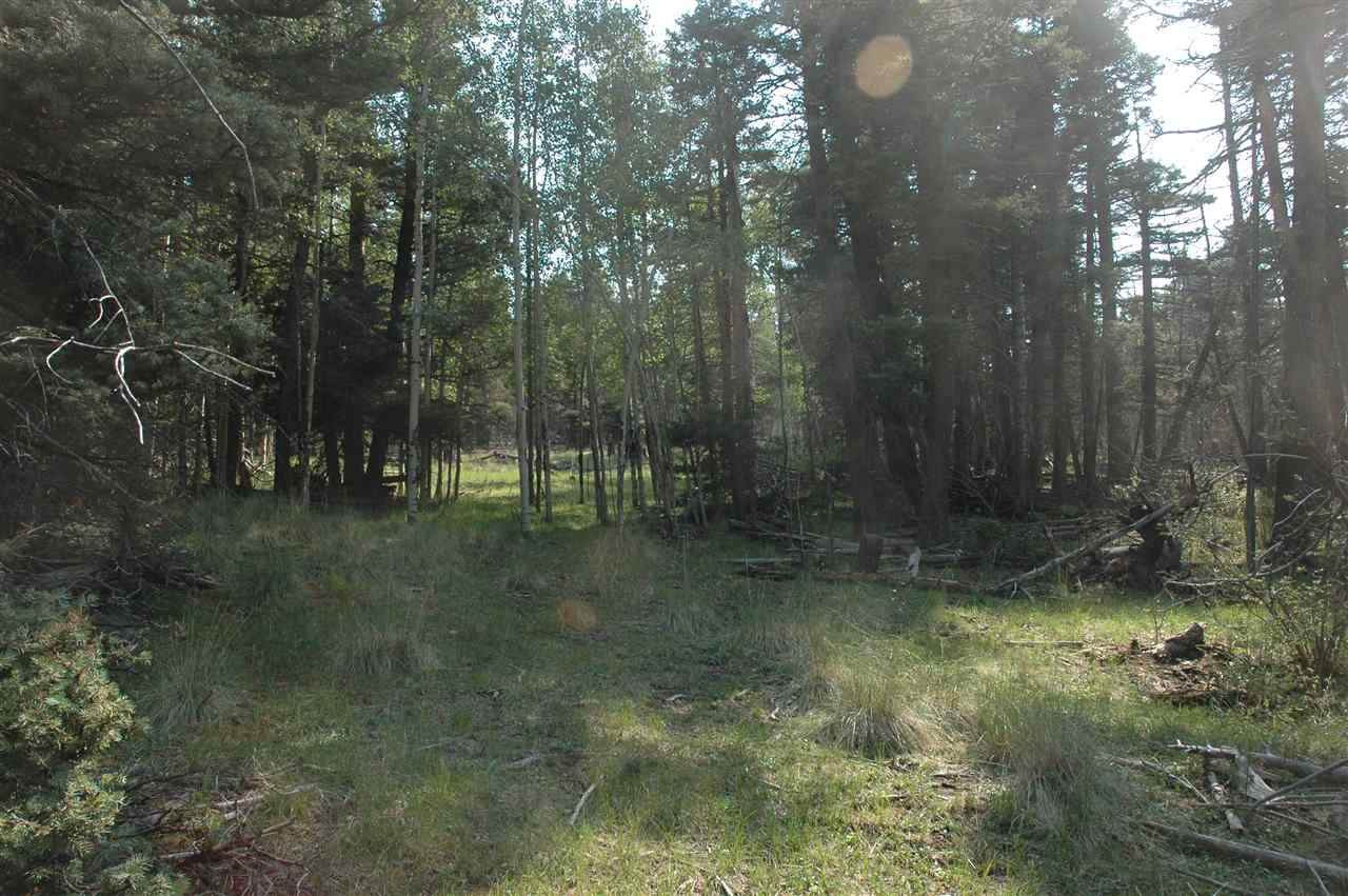 1467 Cheerful Way - Photo 1