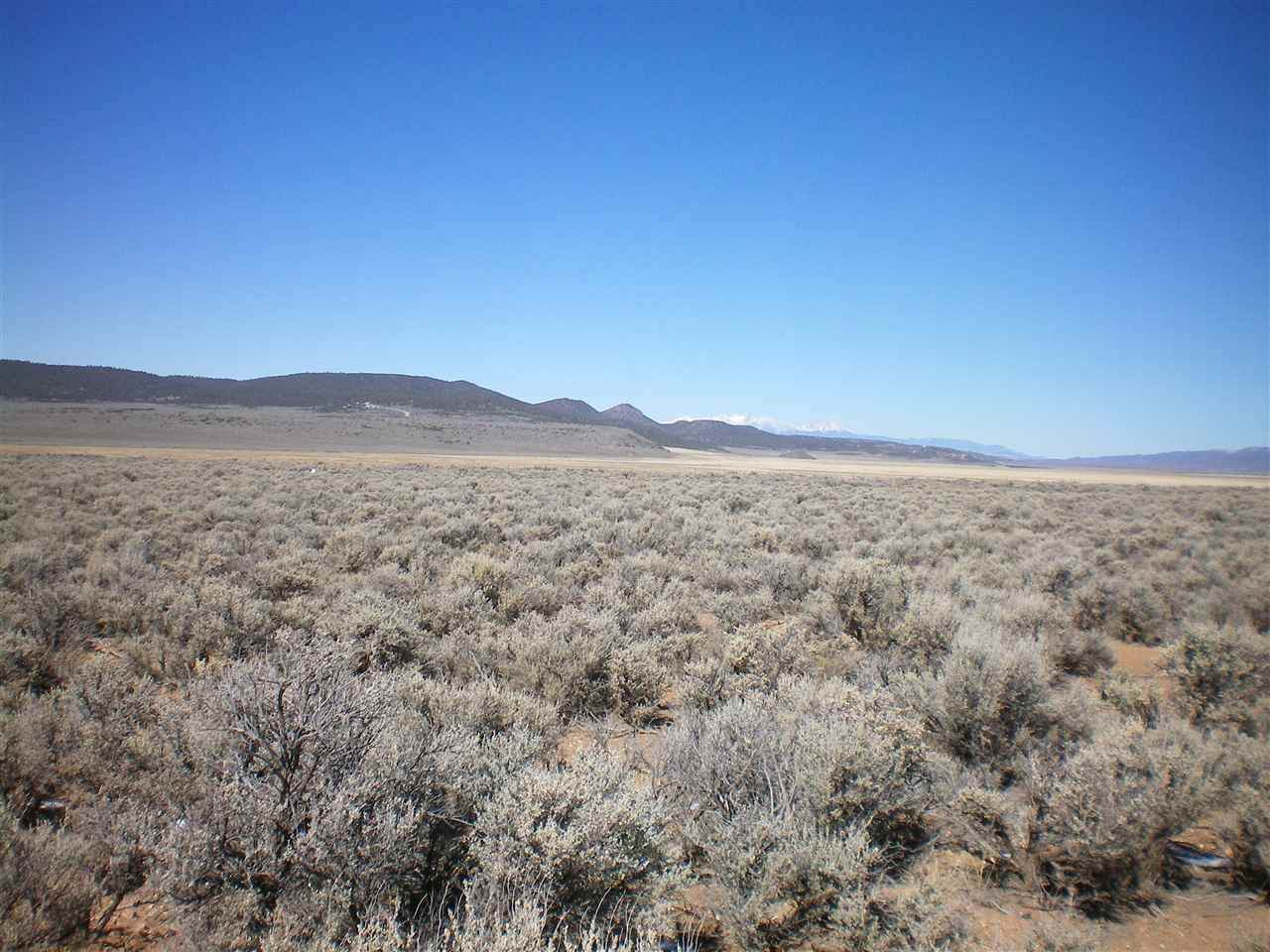 On Costilla Blvd - Photo 1