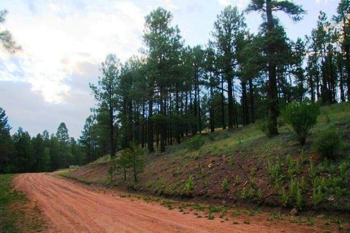 Lot 116 Valley Rd - Photo 1