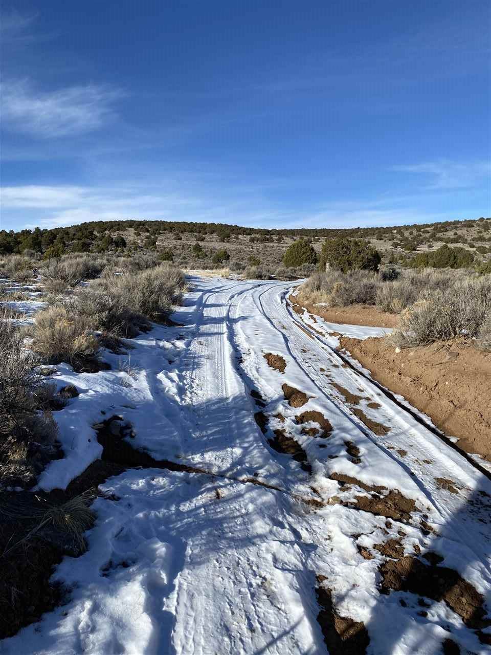 off Usfs 602 And Sr 567 - Photo 1