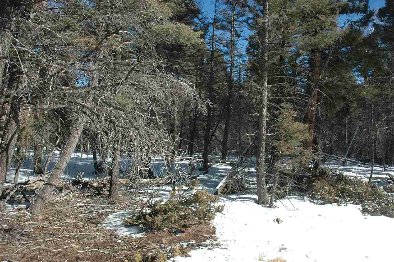 329 Vail Overlook - Photo 1