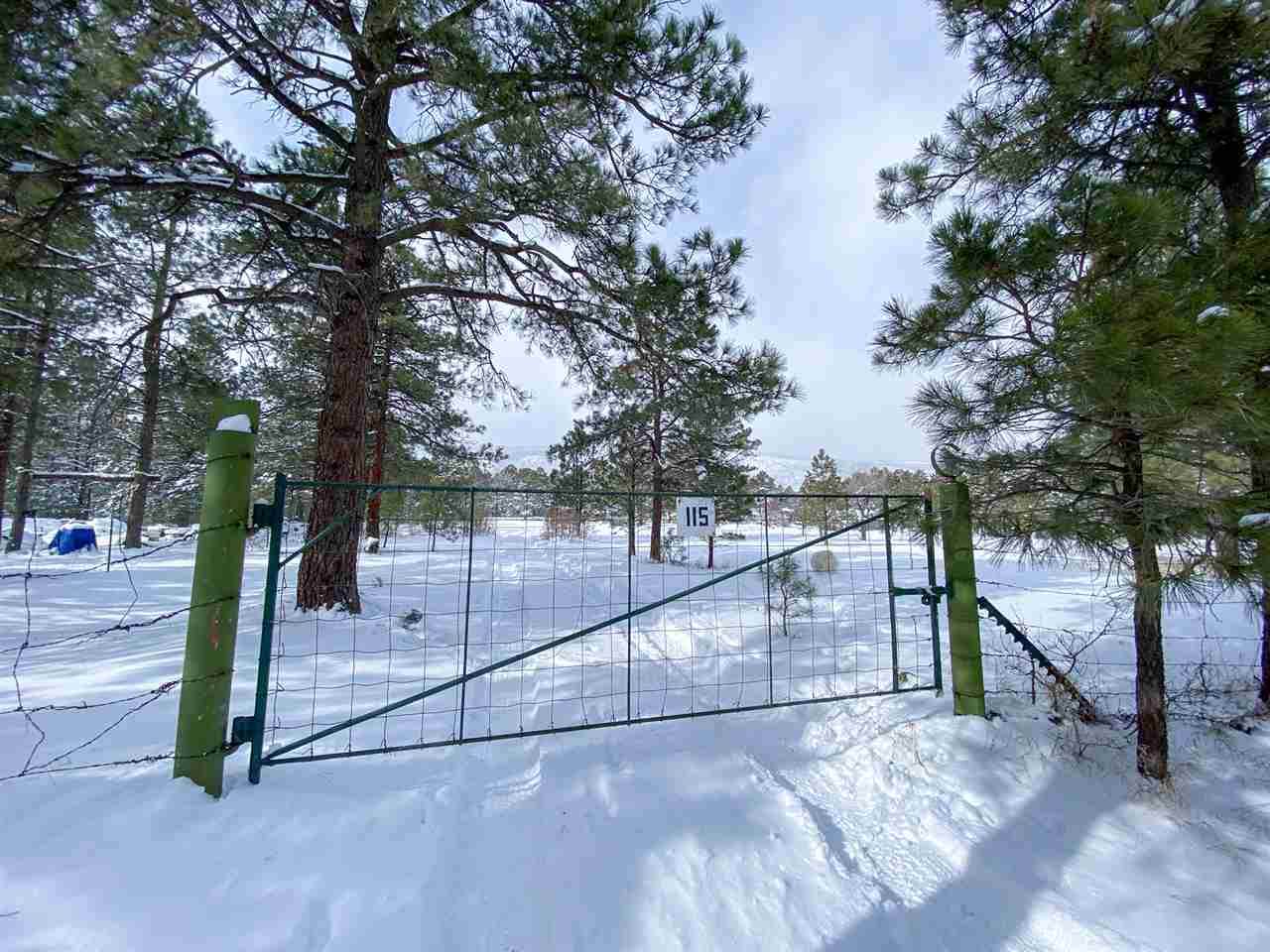 115 Williams Canyon Road Or Mora Co Road A034 - Photo 1