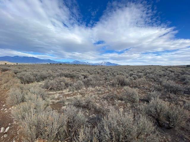 00 Rabbit Ridge Road - Photo 1