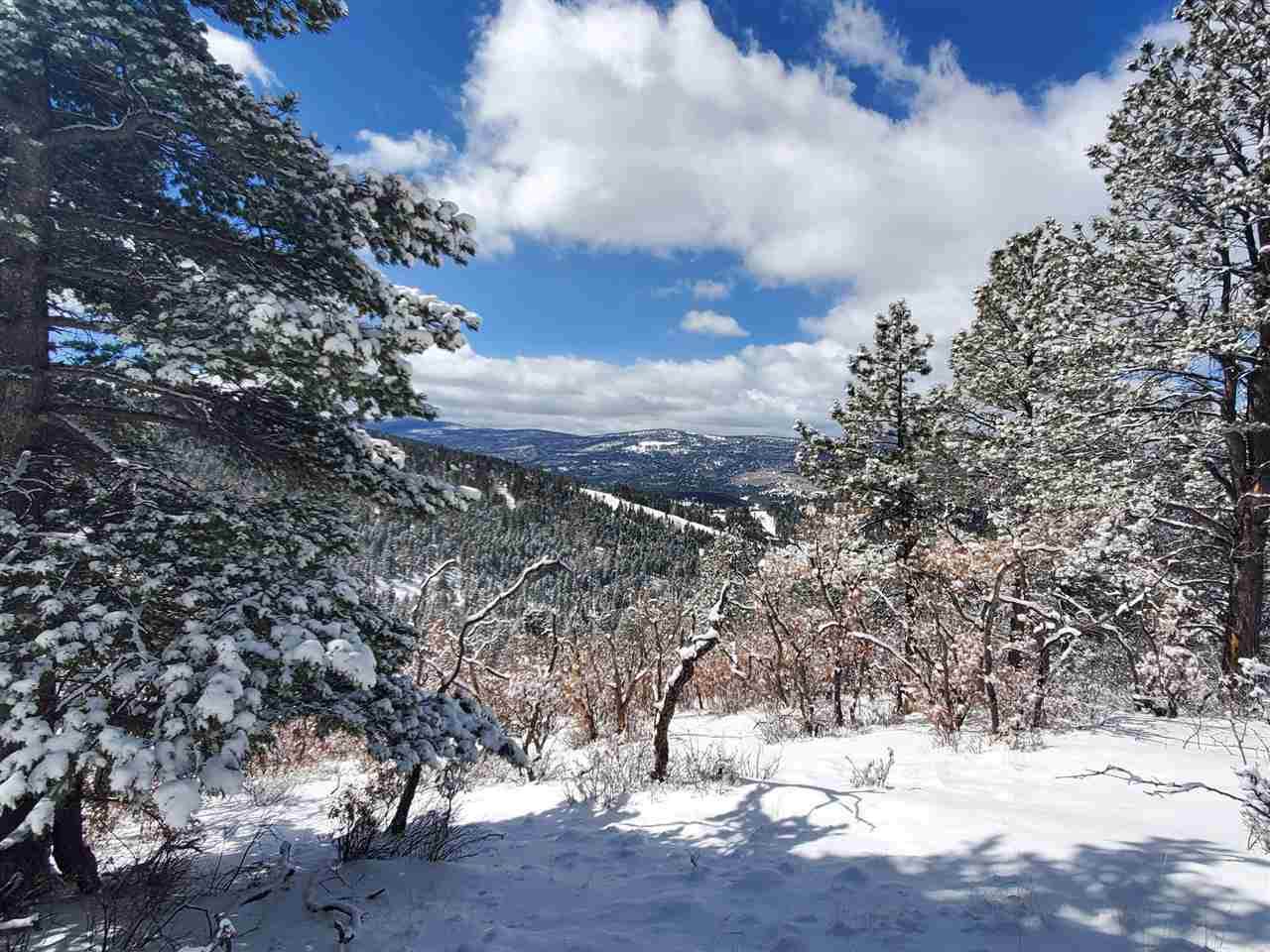Lot 215 Peak Place - Photo 1