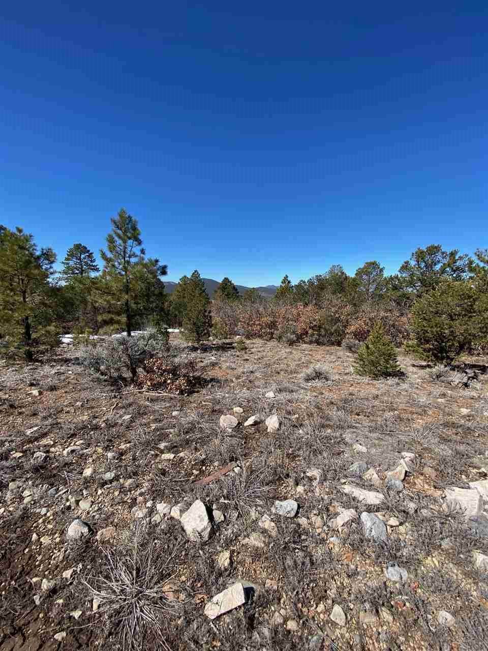 00 Off Echo Forest Road - Photo 1