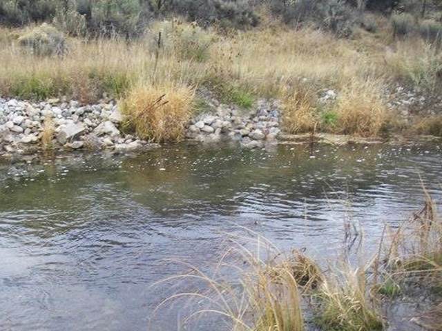 2 acres Los Cordovas - Photo 1
