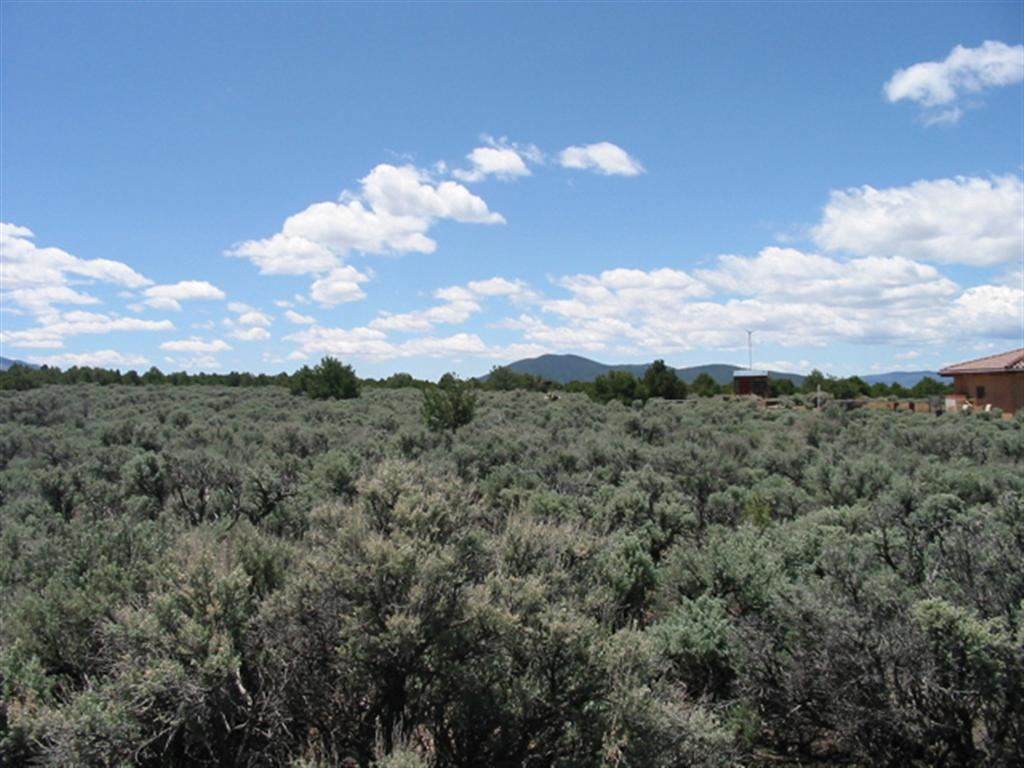 Jedediah Rd - Photo 1