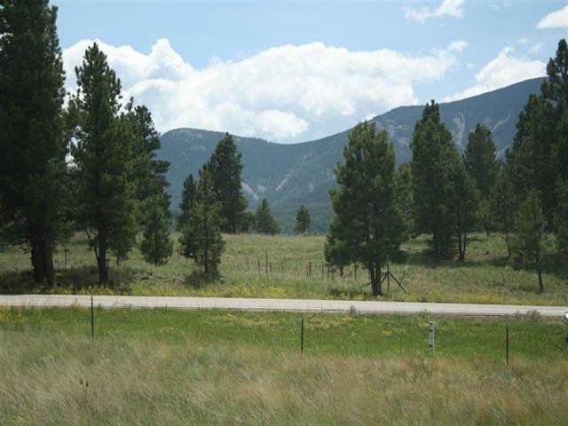 Lot 21 Wymans Black Lake Estates - Photo 1