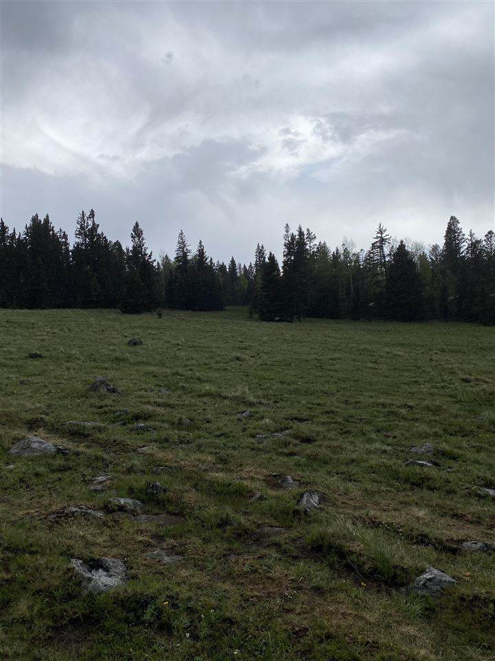 70 Acres Off Of Hwy 120 - Photo 1