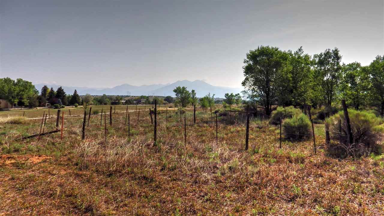 114 C Los Cordovas - Photo 1