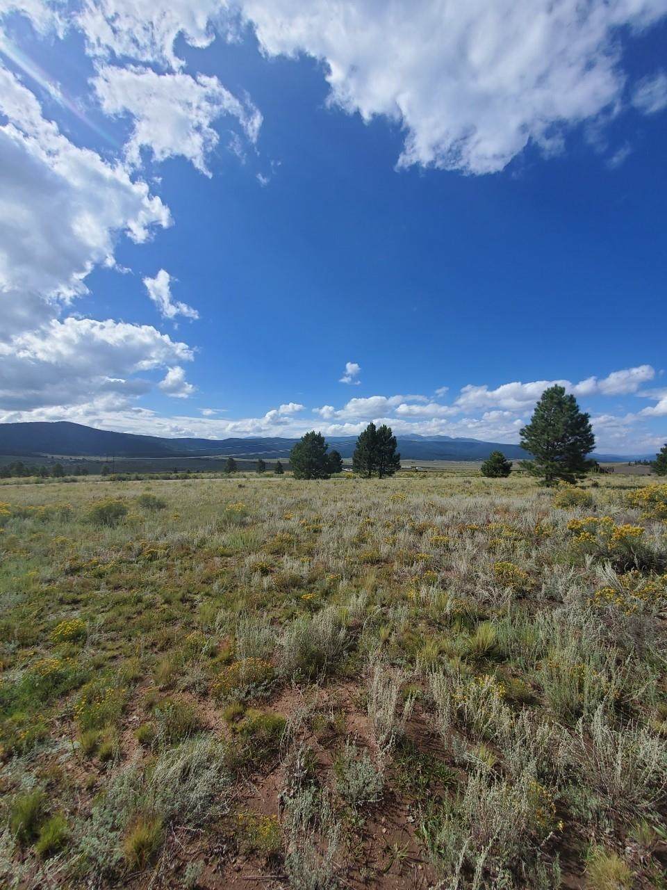 Lot 22 Buckskin Rd - Photo 1