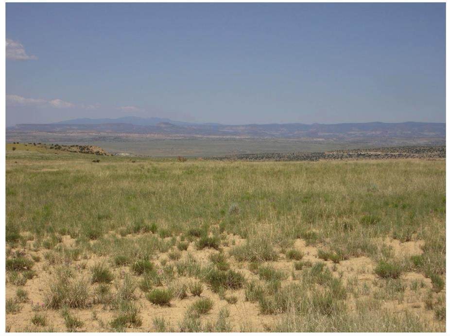 Lot 6 Rio Rancho Estates - Photo 1