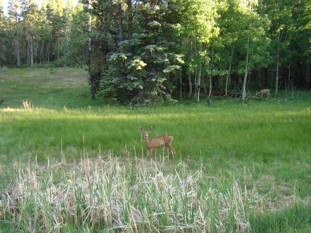 Lot 645 Martinez Way - Photo 1