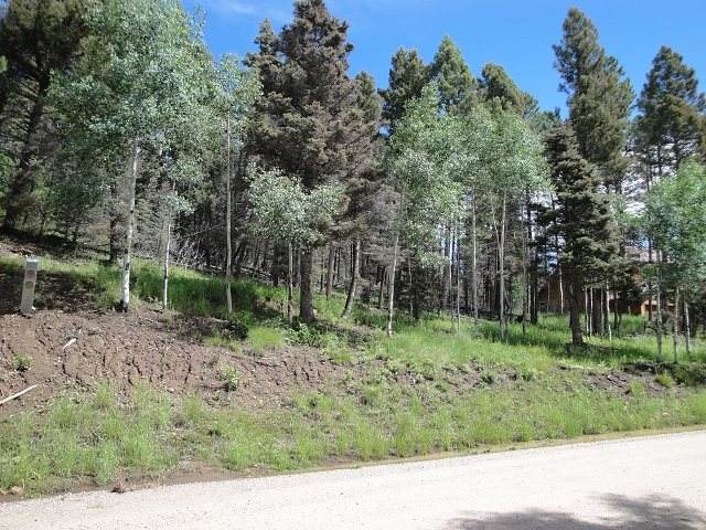 Lot 1379 Santo Domingo Trail - Photo 1