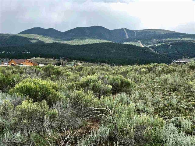 Lot 2 Trujillo Hwy 434 - Photo 1