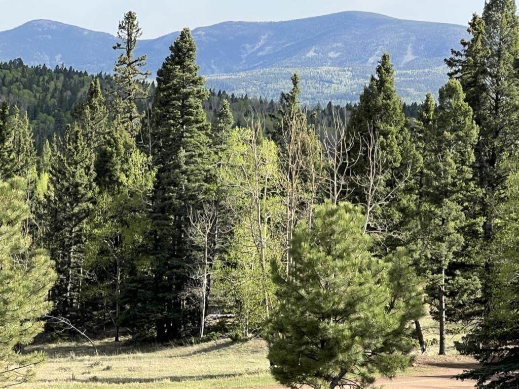 Lot 1023 Starshine Overlook - Photo 1